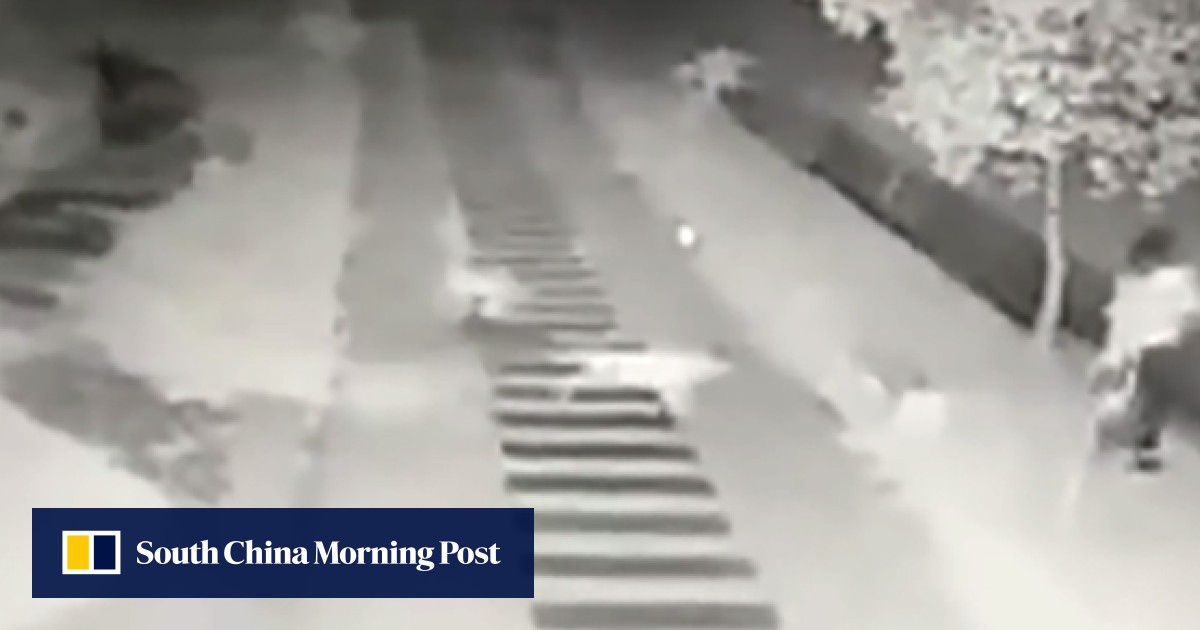 Stray dog attack caught on camera as Chinese university student runs