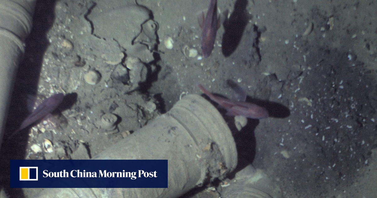 ‘Holy Grail of shipwrecks’, with US$17 billion treasure aboard, is