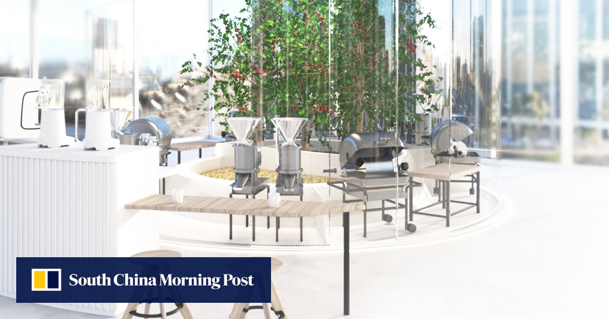 Grow And Brew Your Own Coffee At Home For HK 24 5 Million South China Grow and brew your own coffee at home for hk 24 5 million south china