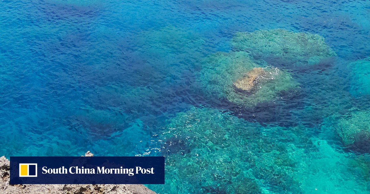 Dive with hammerhead sharks in the crystal-clear waters of Yonaguni