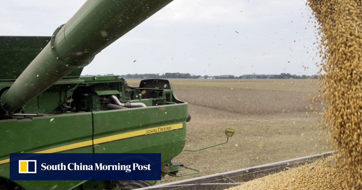 China buys at least 1 million tonnes of US soybeans after trade war