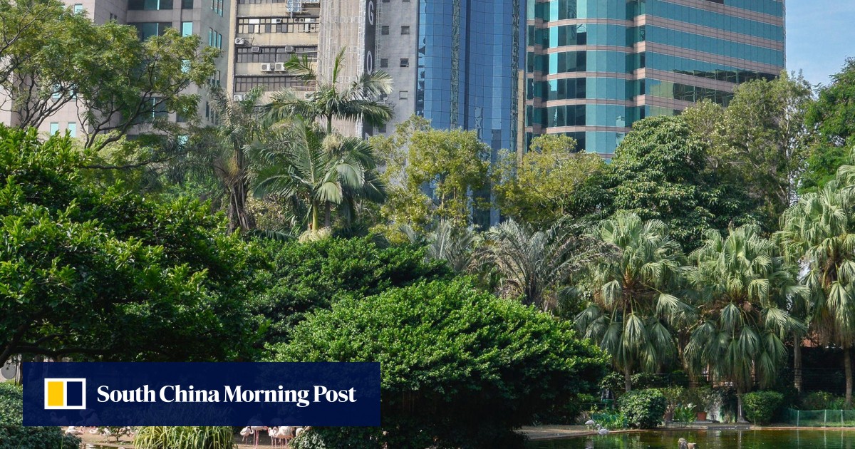I Remember Rubbish Bins Filled With Human Heads Hong Kong - 