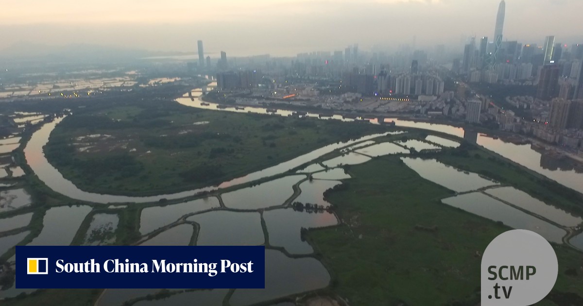 Lok Ma Chau loop: an overview | South China Morning Post