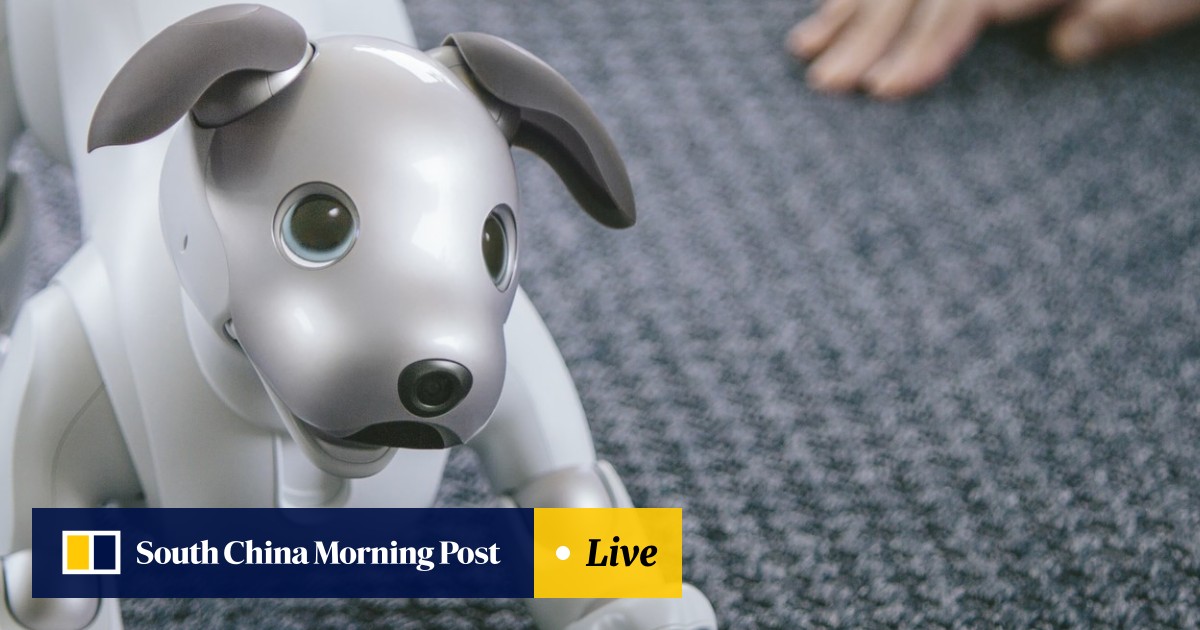The Truth About Robot Cats And Dogs Can They Replace Real Pets