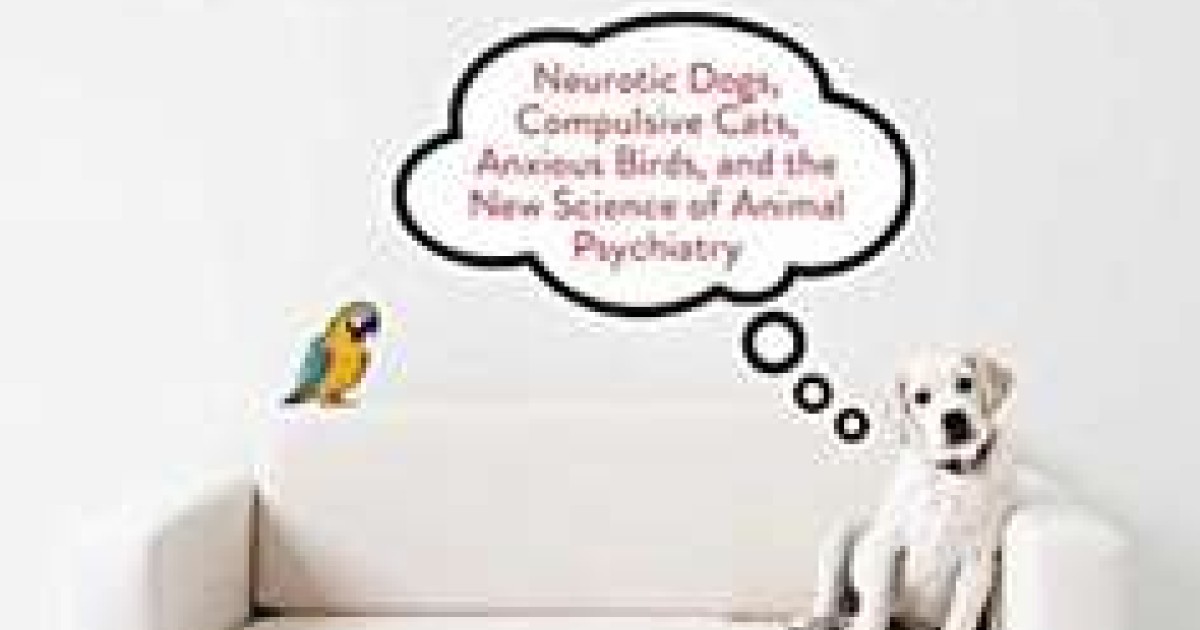 Book Review Pets On The Couch Are Your Animals Anxious Or