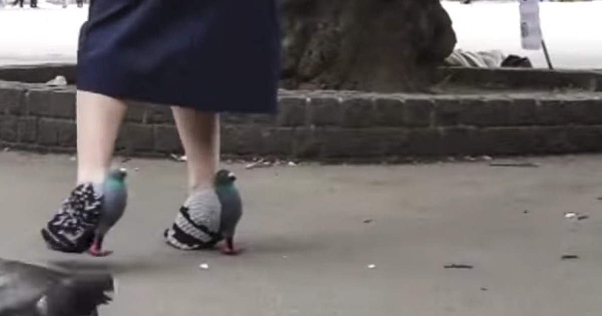 pigeon shoes for sale