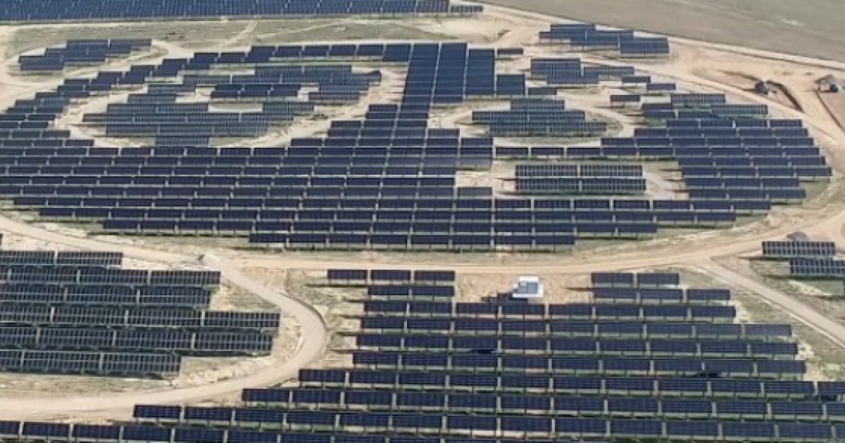 The Hong Kong Teenager Behind China S Panda Shaped Solar Farms Being Built Around The World South China Morning Post