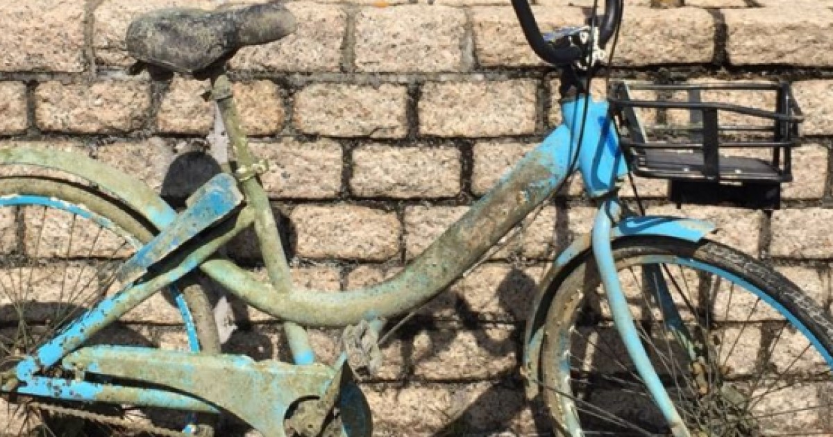 bicycle ride share