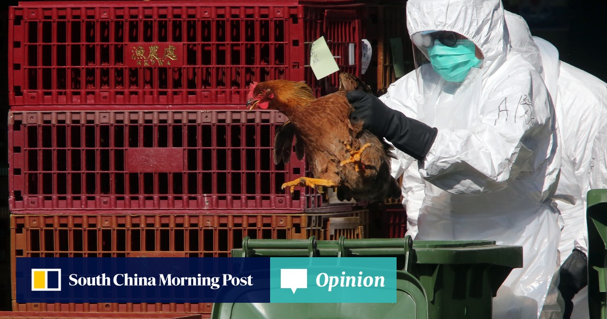 Seasonal Flu And Bird Flu Could Mix And Mutate Warns Hku