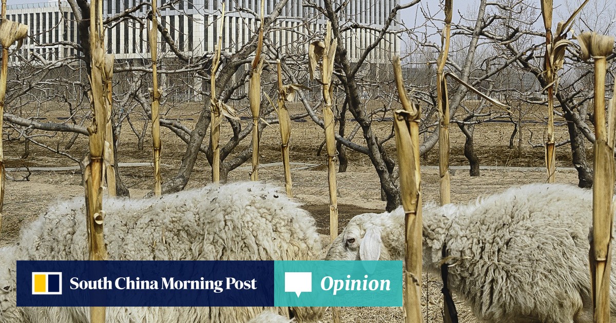 China’s land system breakthrough is allowing rural land for rental