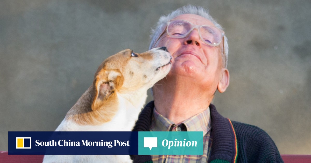 Pet theory rising ownership in Hong Kong opens up a host of retail