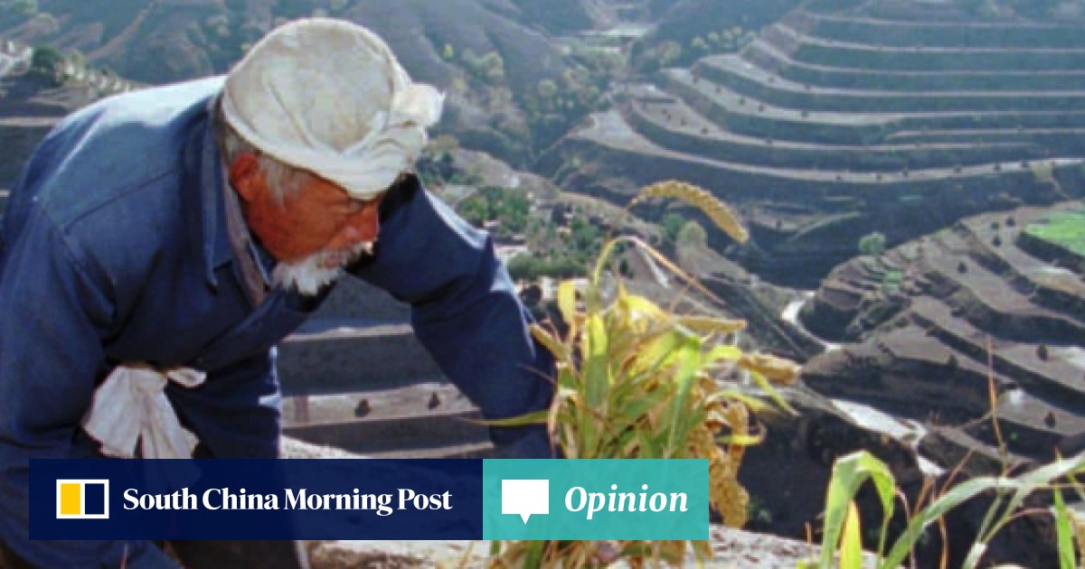 Why affluent Chinese are mad for millet, and the ancient grain’s long