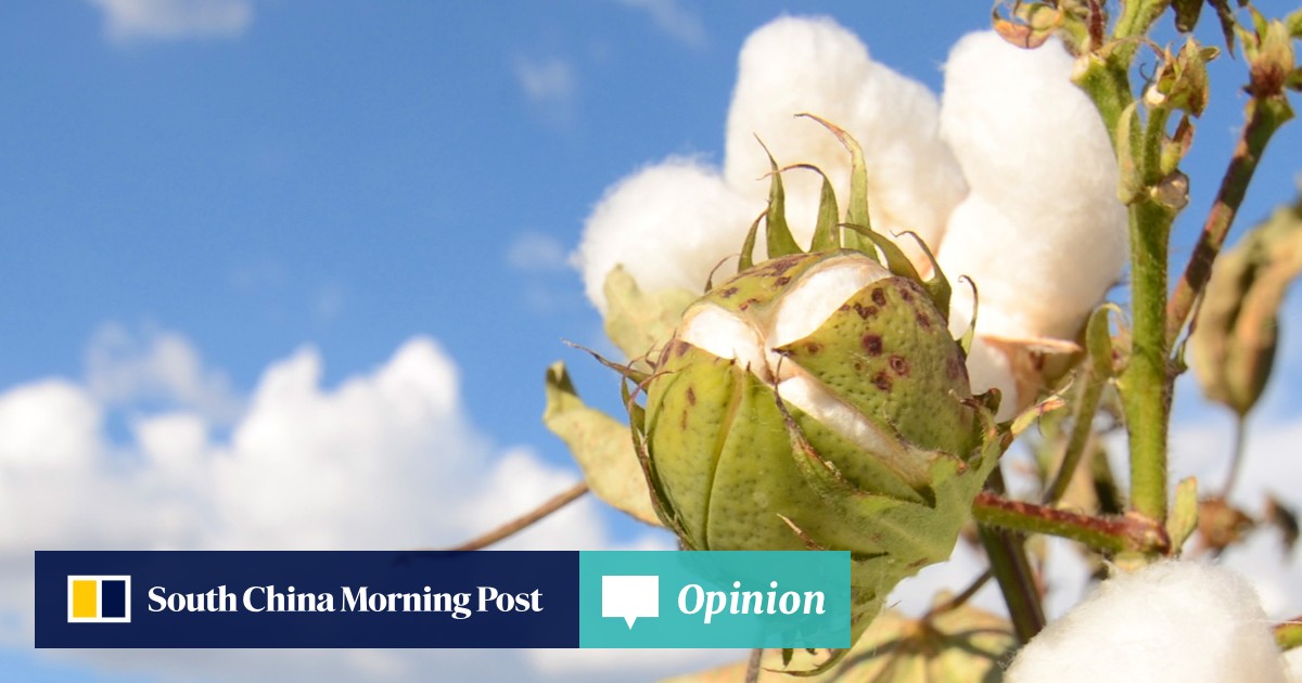 Chart of the day Support for Zhengzhou cotton South China Morning Post