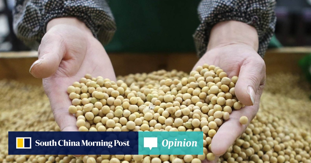 Chart of the day Dalian soybean gathers momentum South China Morning