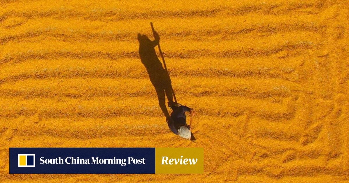 Us China Trade War Is More About Geopolitical Rivalry Such