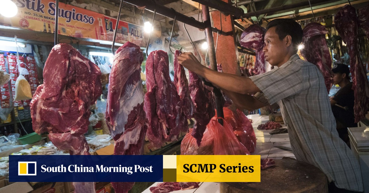 Handel På hovedet af inkompetence A matter of taste: Indian buffalo meat threatening to replace Australian  cattle on Indonesian plates | South China Morning Post