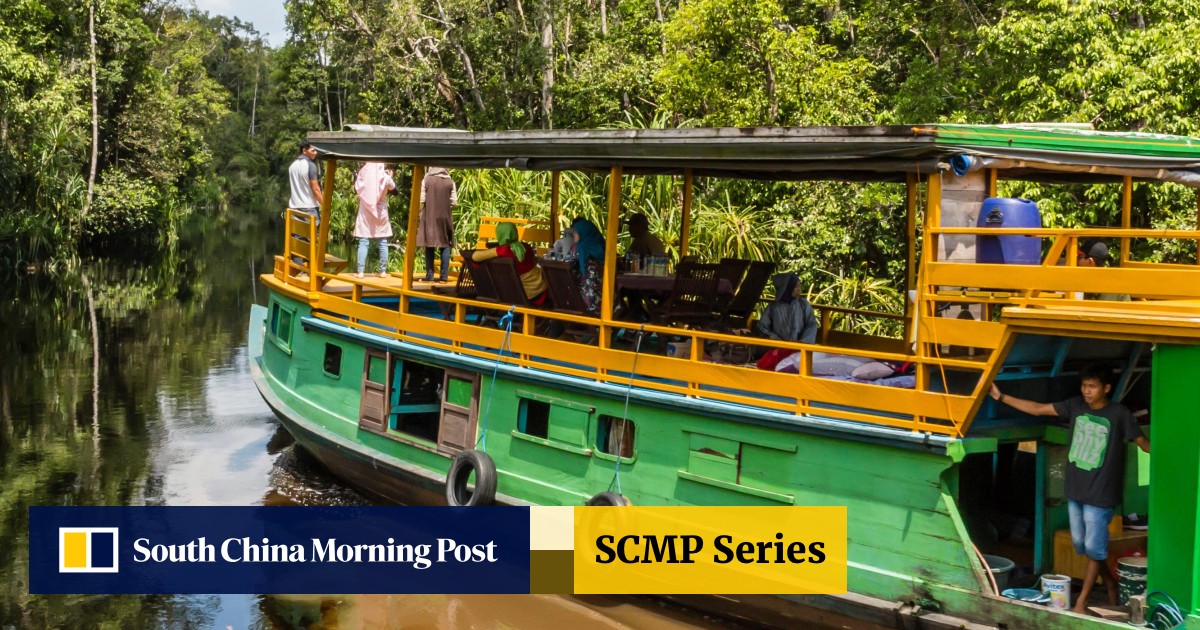 Five Of The Best Borneo River Trips To See Its Nature And Wildlife Up Close From Rainforest Cruises To Tribal Adventures South China Morning Post
