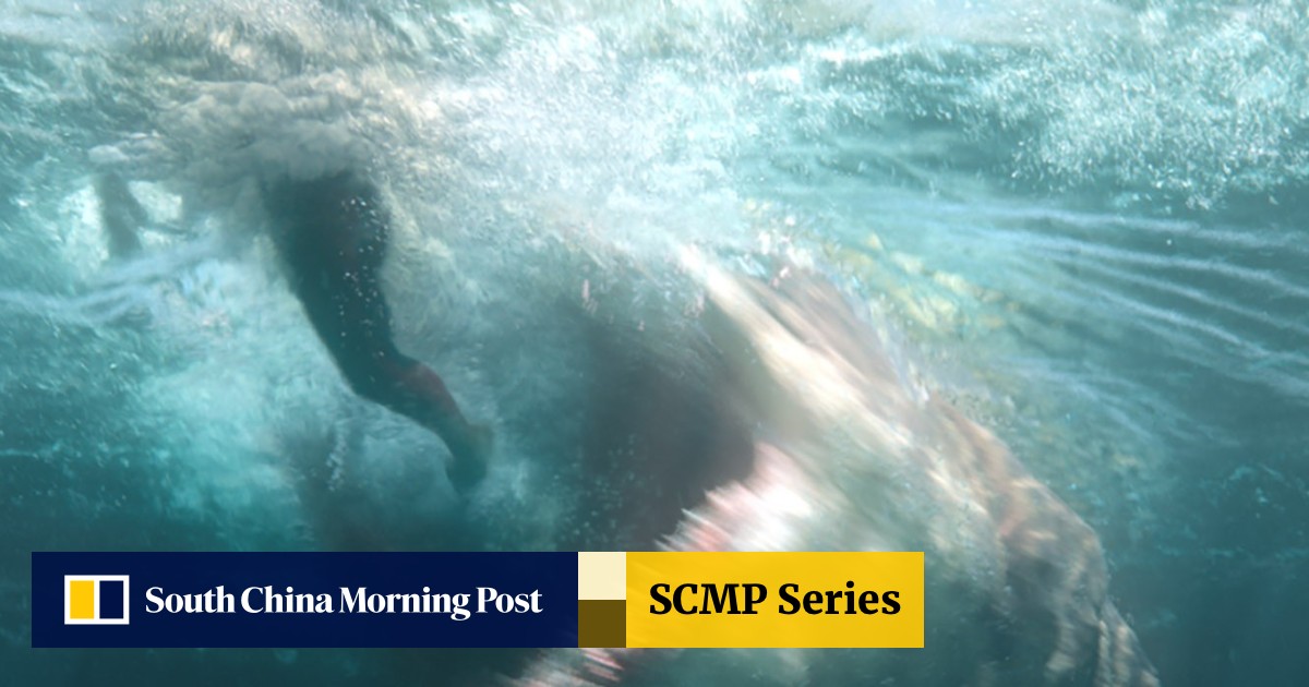 The 12 Best Sea Monster Movies Ranked If The Meg Doesn T Float Your Boat South China Morning Post