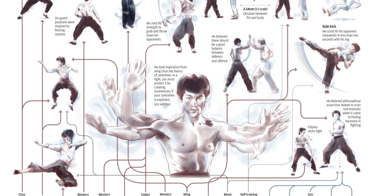 Bruce lee best moves 2025