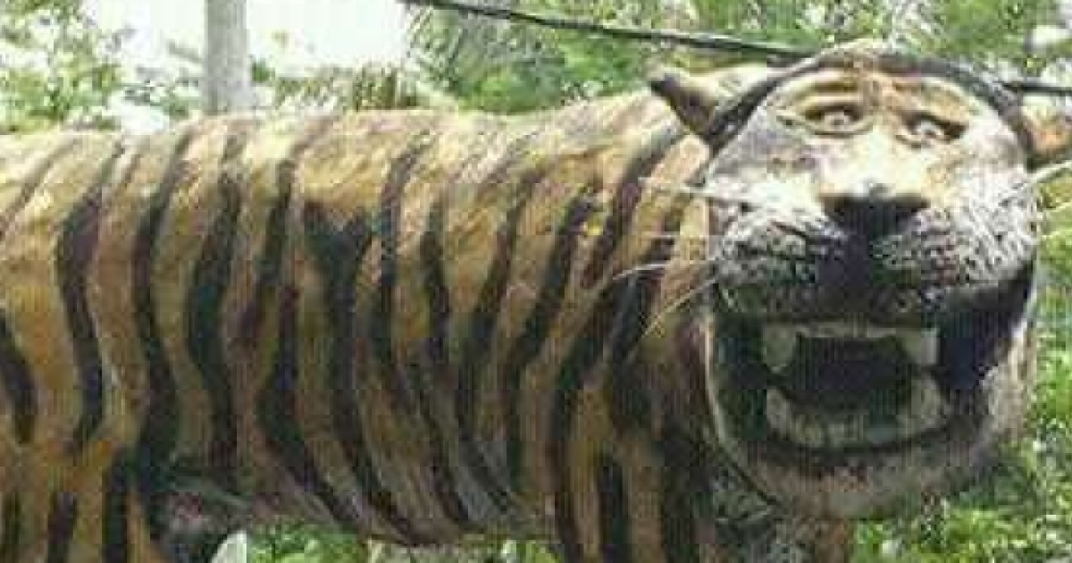 Roar no more: Indonesian military removes mocked tiger statue | South China  Morning Post