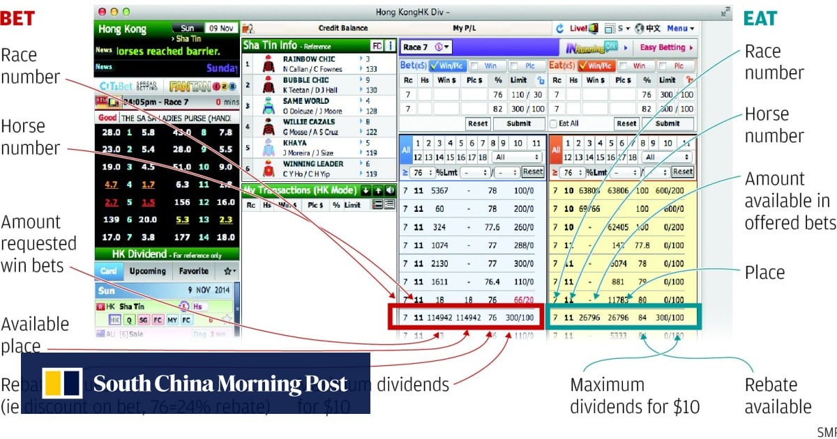 amway for gamblers is easy money for super agents hk racing south china morning post