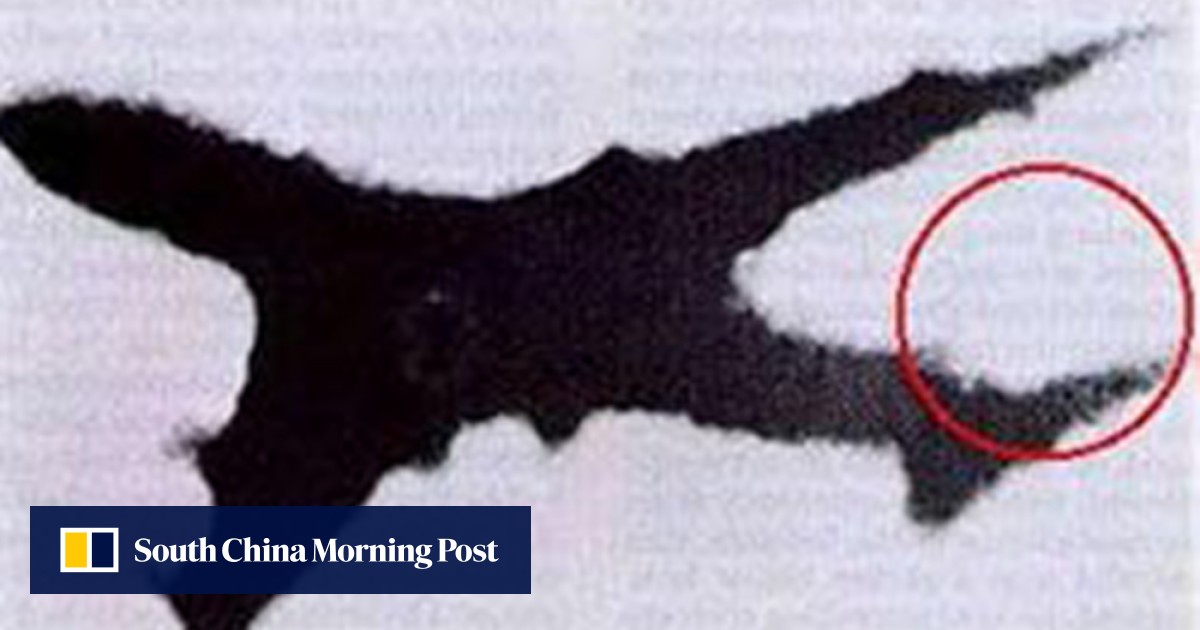 Remembering Flight 123 Deadliest Single Plane Crash In History And One Of The Most Incredible South China Morning Post Remembering Flight 123 Deadliest Single Plane Crash In History And One Of The Most Incredible South China Morning Post