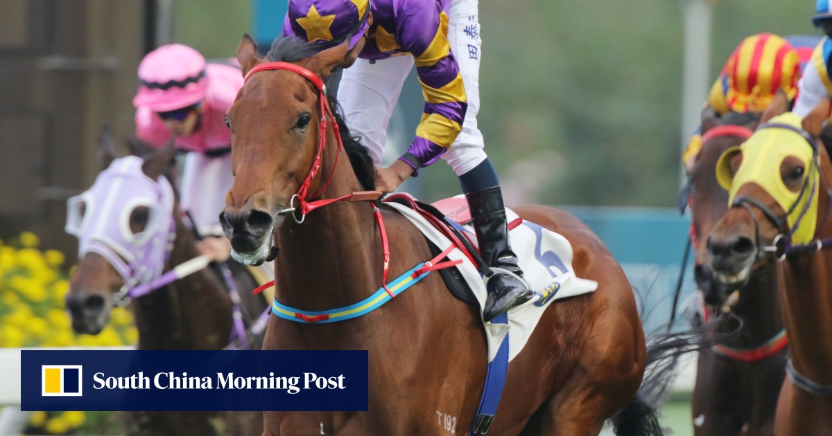 2016 Bmw Hong Kong Derby Analysis Why Each Of The 14