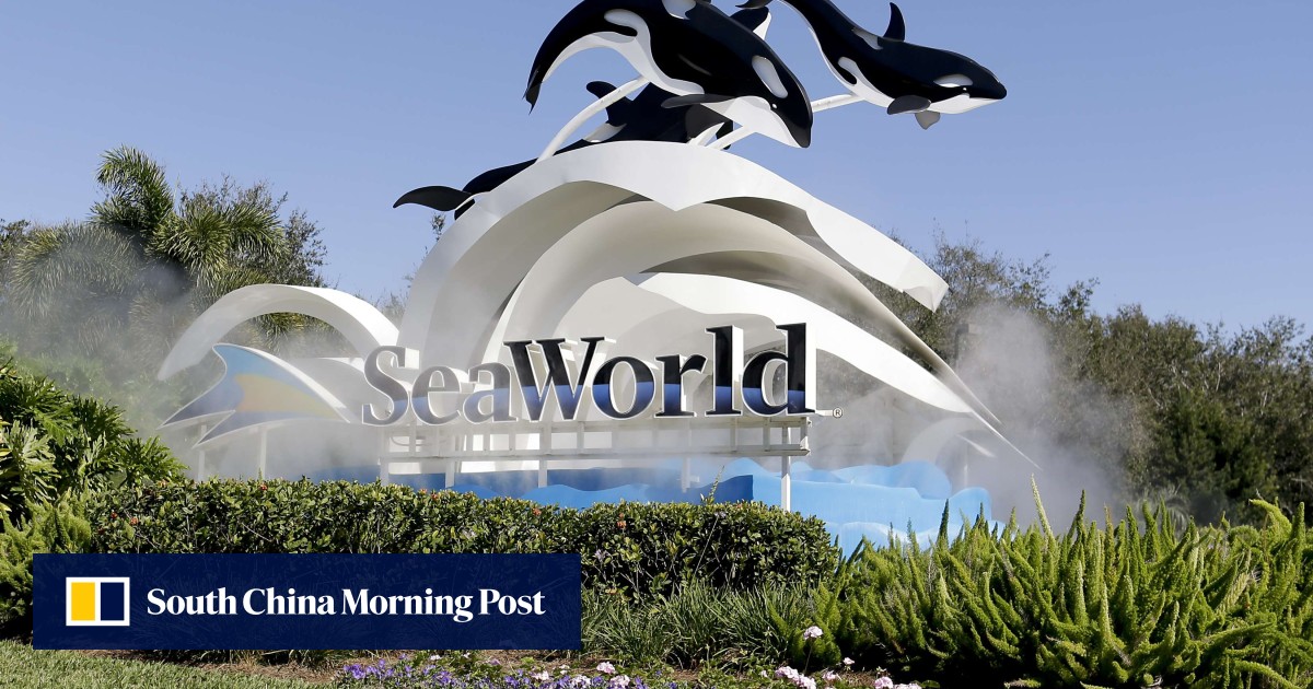 China S Zhonghong Buys Blackstone S Stake In Seaworld South