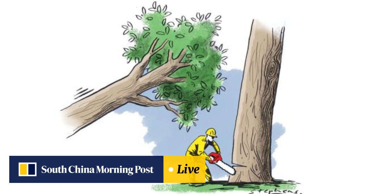 Deforestation To Blame For Beijing S Pollution South China