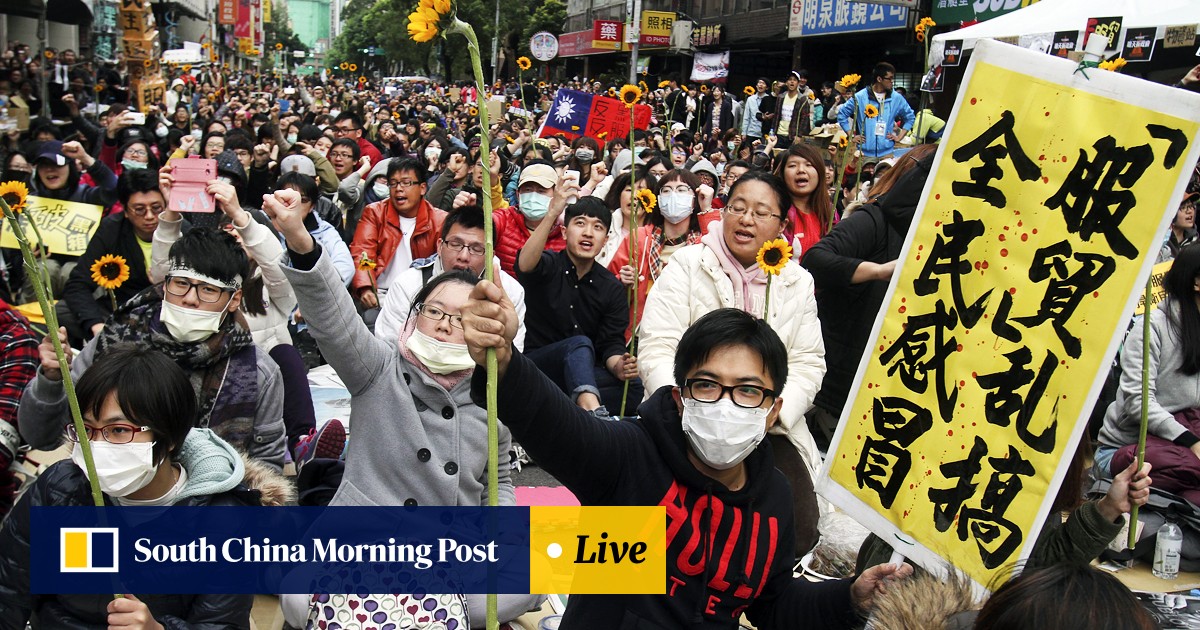 One Year On Impact Of Sunflower Movement Protests In Taiwan Continues To Blossom South China Morning Post