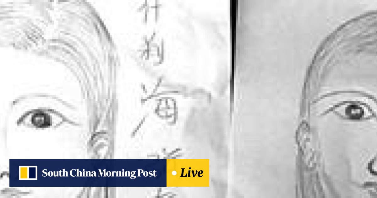 Is It Art Or Just Awful Beijing Granny S Portrait Sketches Draw