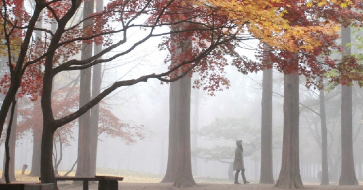 Nami Island From Winter Sonata And 4 Other Must Visit K Drama Tv Locations South China Morning Post