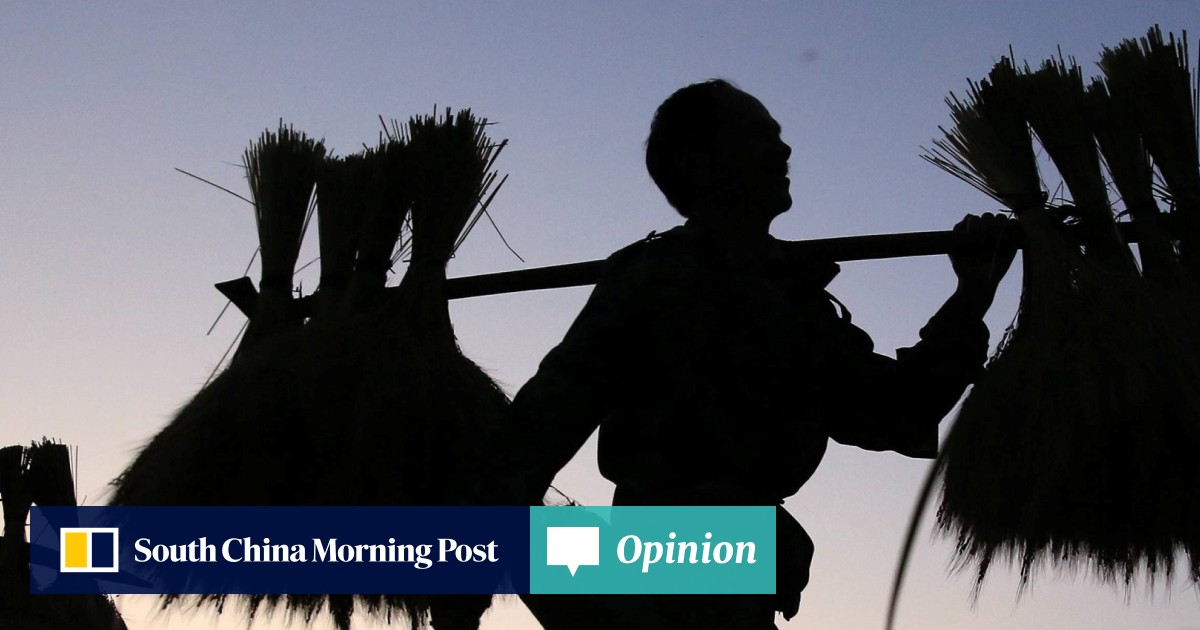 Asia Falling Out Of Love With Rice As New Wave Of Superfoods Make - asia falling out of love with rice as new wave of superfoods make their way onto dining tables south china morning post