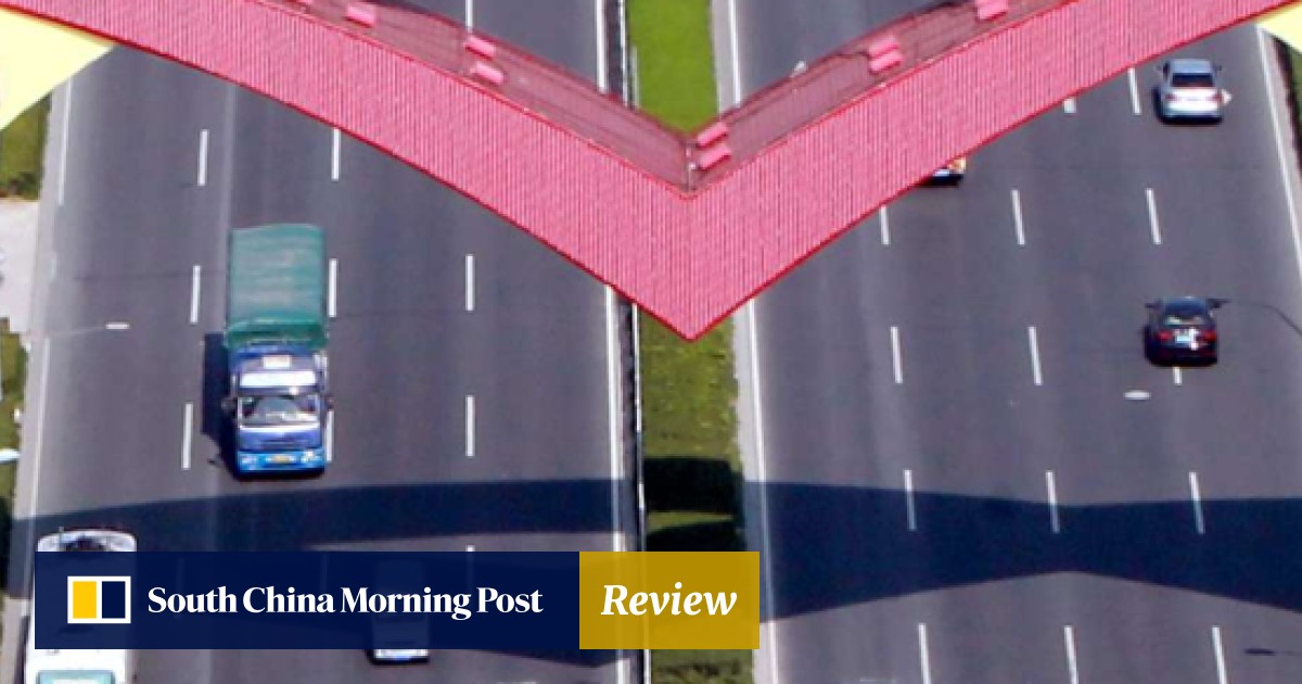 Shanghai Ftz Firms Overseas Hopes Dashed By Policy U Turn South - 