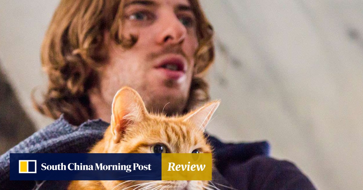Film Review A Street Cat Named Bob True Story Of Addict And
