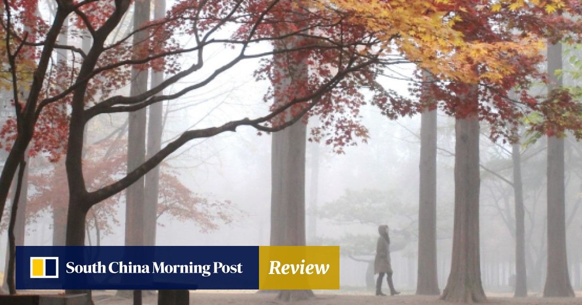 Nami Island From Winter Sonata And 4 Other Must Visit K Drama Tv