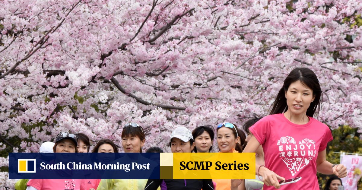 Cherry Blossom Wars China Growers Claim Symbol Of Japan As Their Own South China Morning Post