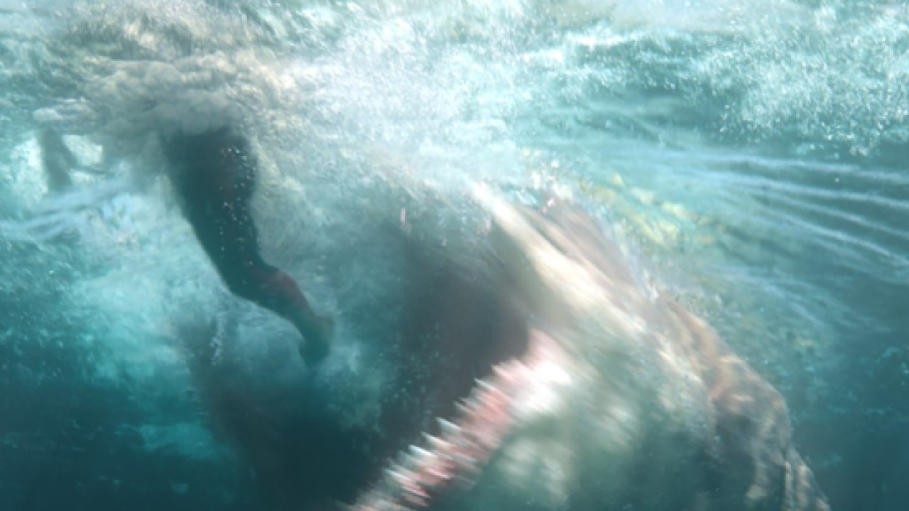 The 12 Best Sea Monster Movies Ranked If The Meg Doesn T Float Your Boat South China Morning Post