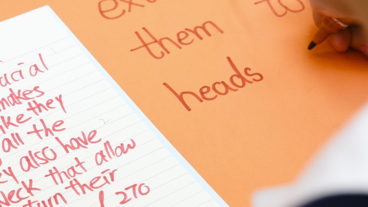 south china morning post